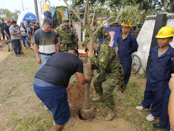 Militares colaboran con la reforestación del Guayacán Amarillo