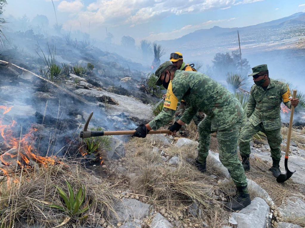 Incendios forestales perjudican a Ecuador