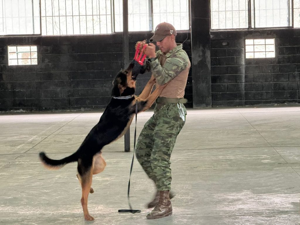 Ejército capacitación del primer Curso de Empleo Canino