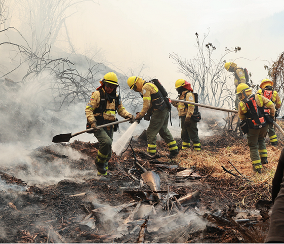 Cinco bomberos resultaron heridos en el control de los incendios en Quito