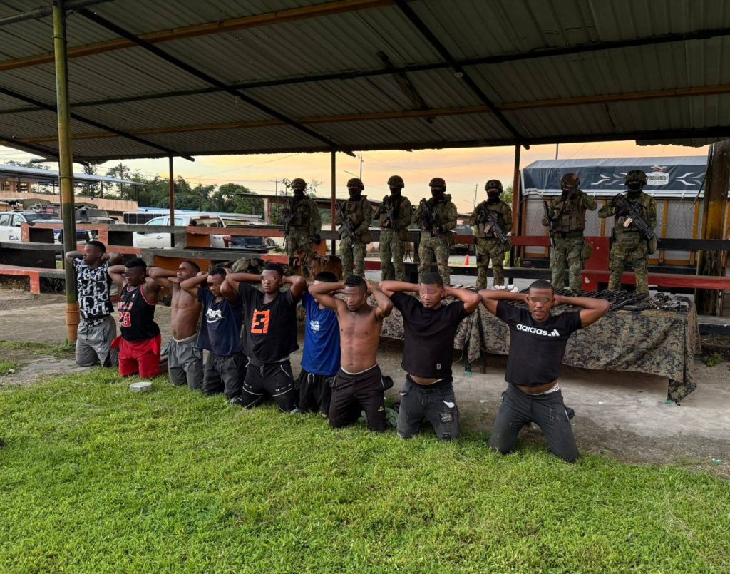 Fuerzas Armadas desmantela célula del Frente Oliver Sinisterra