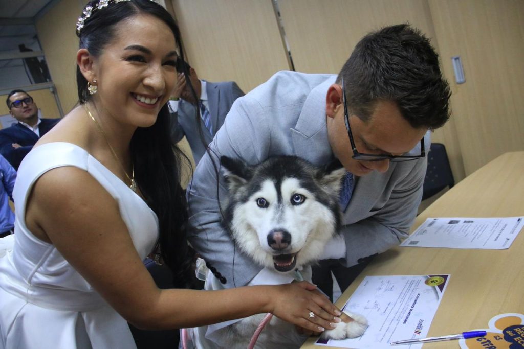 Registro Civil accede a bodas “Pet Friendly”