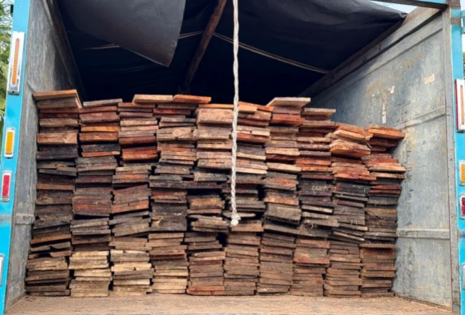 Lucha contra la minería ilegal y el tráfico de madera