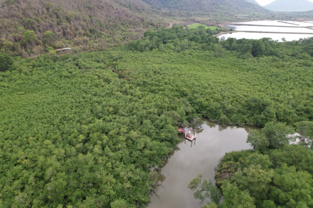 Ecuador impulsa acciones por la conservación en el Mes de la Biodiversidad