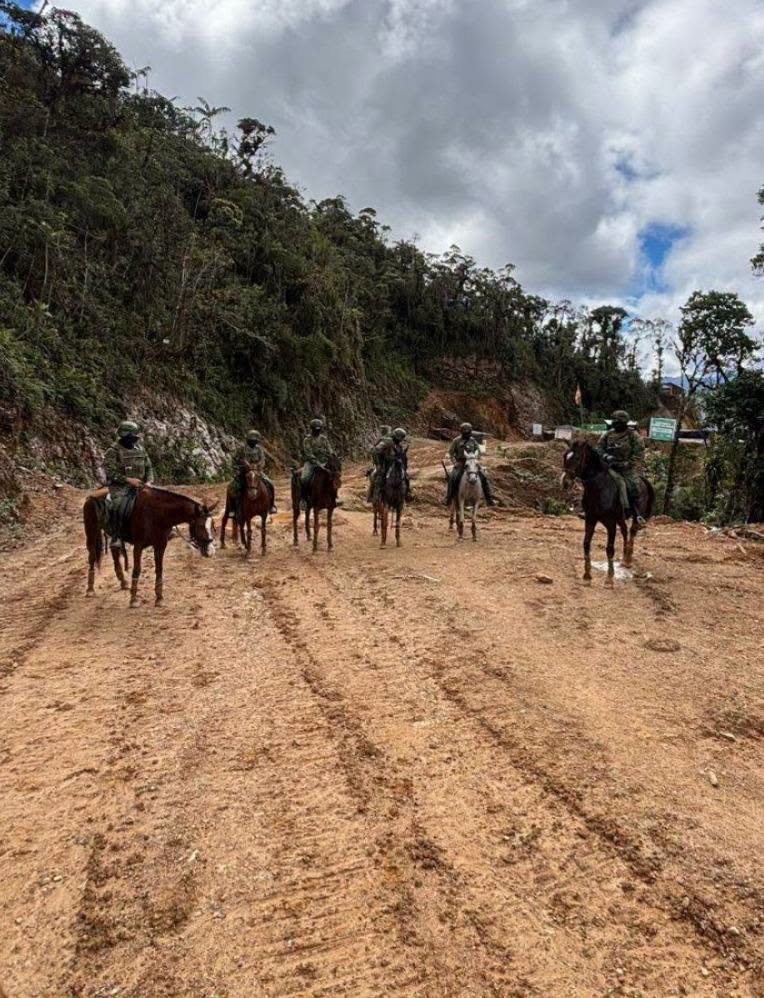 Patrullajes hipomóviles refuerzan el control en la frontera sur