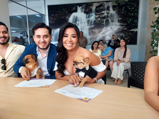 Registro Civil del Ecuador contabiliza 23.737 matrimonios en la actualidad