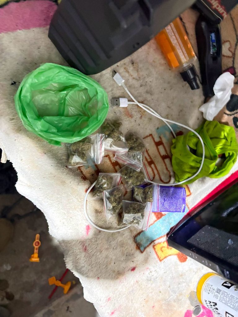 Ejército Ecuatoriano aprehende a tres personas y decomisa presunta marihuana en Pedernales