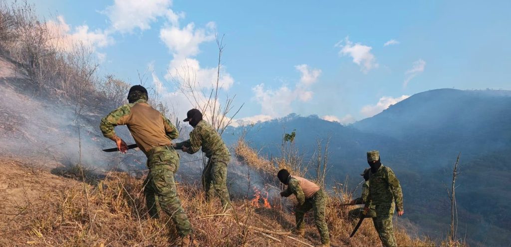 Militares apoyaron en el control de incendio forestal en Espíndola
