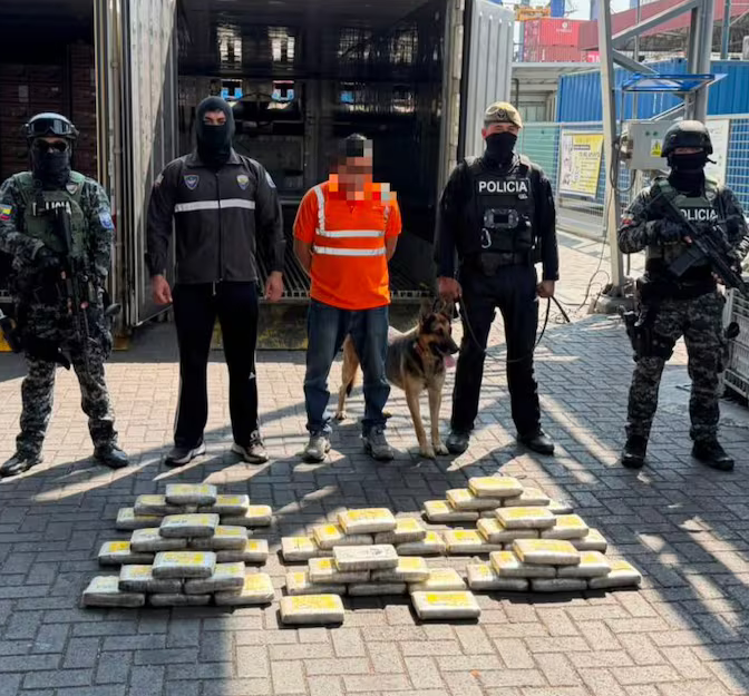 Decomisan 50 bloques de droga ocultos en contenedor con destino a Polonia