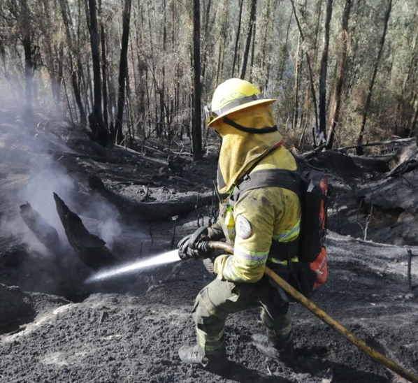 Incendios forestales activos en cuatro provincias del Ecuador