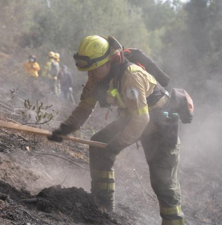 Ocho incendios forestales permanecen activos en Ecuador