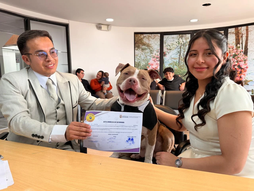 33.833 matrimonios celebrados y 15.799 divorcios contabilizan el Registro Civil