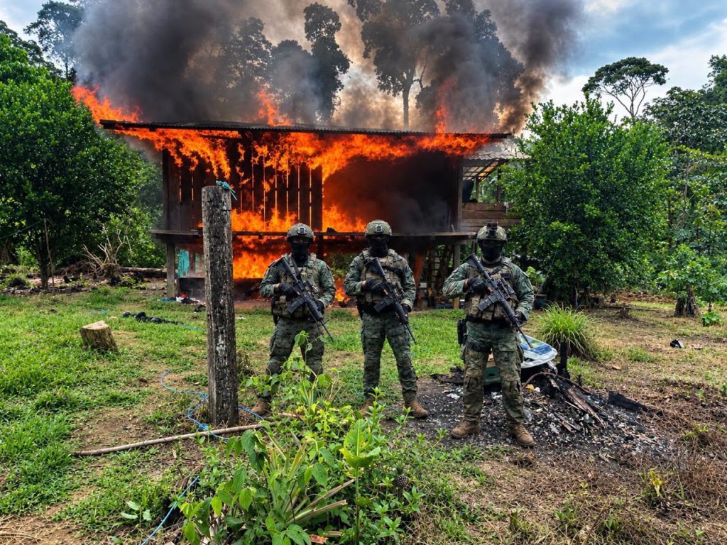 Fuerzas Armadas destruyen campamentos ilegales en Alto Punino